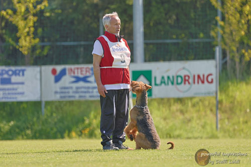 Airedale Terrier Baro von Haus Schirmer